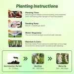 프리미엄 장미 씨앗 장미씨 꽃씨 아웃프라이드 디지털리스 퍼퓨레아 알바 화이트 폭스글로브 - 그늘진 정원과 야외 풍경을 위한 수분 매개자... 