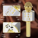 무선 노래방 마이크 듀오 4-in-1 블루투스, 보조, 골드 케이멀러 Rose Gold : 고글로벌샵