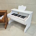 레노피아 베른호이체 25건반 미니피아노 : IBUILD