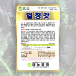 얼청갓씨앗 10g 한국대농종묘 씨앗 종자 갓씨앗 갓종자 김치 : 대농종묘