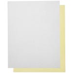 Appvion NCR 페이퍼 제로/폼 II 무탄소 종이 시트 (NCR4640) : 호야모먼트