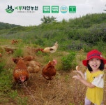 비봉자연농원 난각번호1번 동물복지 자연방사 유정란 계란 : 비봉자연농원