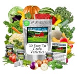 프리미엄 과일씨앗 과일씨 텃밭 초보 생존 종자 보관소 B KM 및 이상의 쉬운 20 000개 비GMO 30종 농장에서 재배하기 가보 품종... 