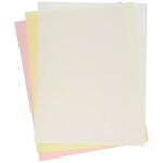 Appvion NCR 페이퍼 제로/폼 II 무탄소 종이 시트 (NCR4642) : 호야모먼트