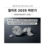 월자프 2025 하반기 : 래빗스쿨