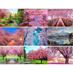 9종택1 봄날 벚꽃 동물 일출도 패턴없음 A0454 벚꽃나무 hk850 백사커튼 호수 풍경 보석십자수 프랑스의 hk850 백사커튼 패턴없음... 