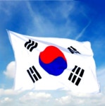 게양용 태극기 국산 대형 응원용 행사용 방수태극기 : 쭈잇