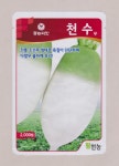 천수무 (가을무) 2000립 : 서울팜마트