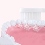 Jianpai JD002 소닉 전동 칫솔 소프트 듀폰 강모 노즐 용 4/8pcs 교체 헤드 : 유하33번지