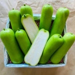 프리미엄 야채 채소 씨앗 잘자라는 텃밭 정원 Mix 25 Seeds Long and Short opo Bottle Gourd Rare find Taiwan Seeds/opo bầu... 