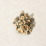 지실 어린 탱자 열매 300g : 두손애약초