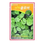 네잎클로버 씨앗 모종 식물 행운의 네잎 키우기 재배 키트 : 생활 유통