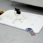 개 시원 듀라론 냉감 애견 쿨패드 매트단두종 필수템 강아지 냥이 방석 패드 : 베딩앤