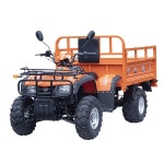 새로운 농장 쿼드 ATV 250cc 수냉식 바이크 ATV(트레일러 포함) : 사사마켓스
