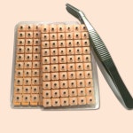 이혈 테라피 침 이어 패치 귀 침 스티커 지압 패치 (1200매) : 쏙템샵