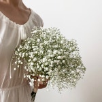 안개꽃 한단 꽃다발 생화 셀프웨딩 부케 촬영용 필러꽃 : 플라워붐