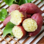 해남화산 진짜 밤고구마_특품 외 : 온가족