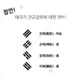 재미있는 컬러룬 만들기 풍선 태극기 벌크 종이풍선 10입 : 앙피니떼