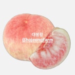 [백도] 대봉왕 복숭아3kg : 호정농장