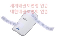 대도 태권도 겨루기 다리보호대 PU : 줌스포츠코리아