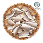 국내산 참조기 20미 손질 반건조 두절조기 서해안 냉동 참조기 : 식사임당