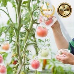 100 조각 포도 딸기 과일 성장 가방 해충 정원 도구에 대한 그물 보호 안티 버드 : 케이플로우일렉트릭
