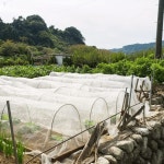 프레임 말뚝 더 및 지지대 유리 넓은 섬유 식물 녹 후프 방지 정원 터널에 한 온실 1 set : 하선맘