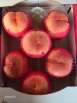 경북 영천 딱딱이 복숭아 백도 대극천 경봉 대왕도 거반도 상도 영수 딱복 산지직송 : 보현산햇살농장