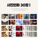 [대여,공항수령]고프로11 히어로 풀패키지 대여,렌탈 인천공항 1일 : 포할리데이