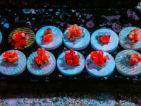 [Soft]  토마스 머쉬룸 : 코통령