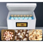 병아리 조류 대용량 실험실 건조 계란부화기 차가운 온도 미니메추리알 둥근 휴대용 가정용 1 T타입 7mm_D : 예스마인샵