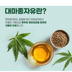 100프로 대마종자유 만성염증 대마씨유 햄프씨드오일 생리전증후군pms 중년갱년기 영양제효능 : 알라킷