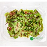 쏘렐 1팩-약10g : 싱싱채소 그린팜