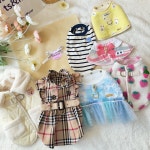 펫츠앤미 취향존중 149,000원 럭키박스 : 펫츠앤미스토어