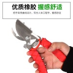 가스단미기 돼지 목장 자르는 꼬리 가축 테일 가위 피그테일 커터 : 직구 정거장