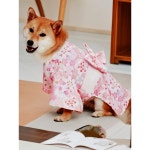 강아지옷 풍 기모노 유카타 생일 귀여운 촬영의상 시바견 의류 애견의류 : 우주9