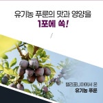 유기농 푸룬주스 푸른주스 쥬스 100% 임산부 스틱 15포 : 프레시웰니스