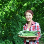 당하루 무농약 건여주 100% 500g 1봉 여주차 : 하리네농원