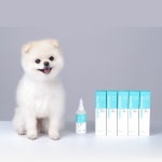 두카메디 셀케어 이어클 100ml 강아지 귀 세정제 이어클리너 : 멍뭉몽