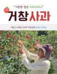 [거창한 청년] 10만 구독자가 인정한 거창 고랭지 사과 10kg - 최용진 농부 : 거창한 청년