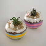 육식자매 미니 색모래 다육식물 테라리움 만들기 DIY 키트 : 육식자매