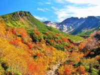 [삿포로 출발] 비에이 소규모 전용차량 투어 프라이빗 단독 투어 / 맞춤투어 가능 : 주식회사 덕아웃