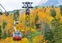 [삿포로 출발] 비에이 소규모 전용차량 투어 프라이빗 단독 투어 / 맞춤투어 가능 : 주식회사 덕아웃