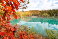 [삿포로 출발] 비에이 소규모 전용차량 투어 프라이빗 단독 투어 / 맞춤투어 가능 : 주식회사 덕아웃