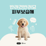 반려견반려묘피부보습 : 페트로동물병원
