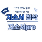 대기업 HR 출신의 리얼 자소서 컨설팅 : 자소서PRO