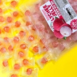 말랑쫀득 리치젤리 800g 열대과일 젤리 디저트 간식 : 투엔티포유