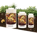 ZZOFSWORM ING ND WORM FARM 퇴비 통 키트 음식물 쓰레기를 용하는 정원 야외 구멍 및 뚜껑 가정용 Small : 티엠상점