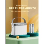 가정용 실내 세트 음향 스피커 제품 무선 노래방 가전 마이크 휴대용 1. 운암 백색 싱글 마이크 : 와이피스