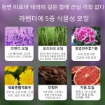 1+1+1 멜라토닌 스프레이 안신 수면 스프레이 빠르게잠들기/편안한수면 : 그리네ZZANG STORE